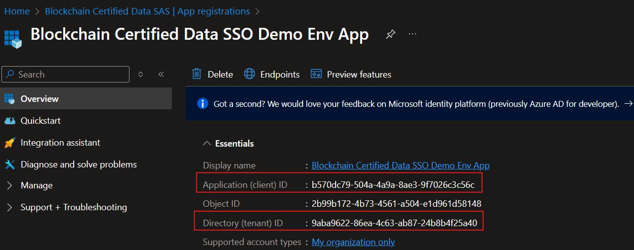 Screenshot of the App Overview showing Application (client) ID and Directory (tenant) ID